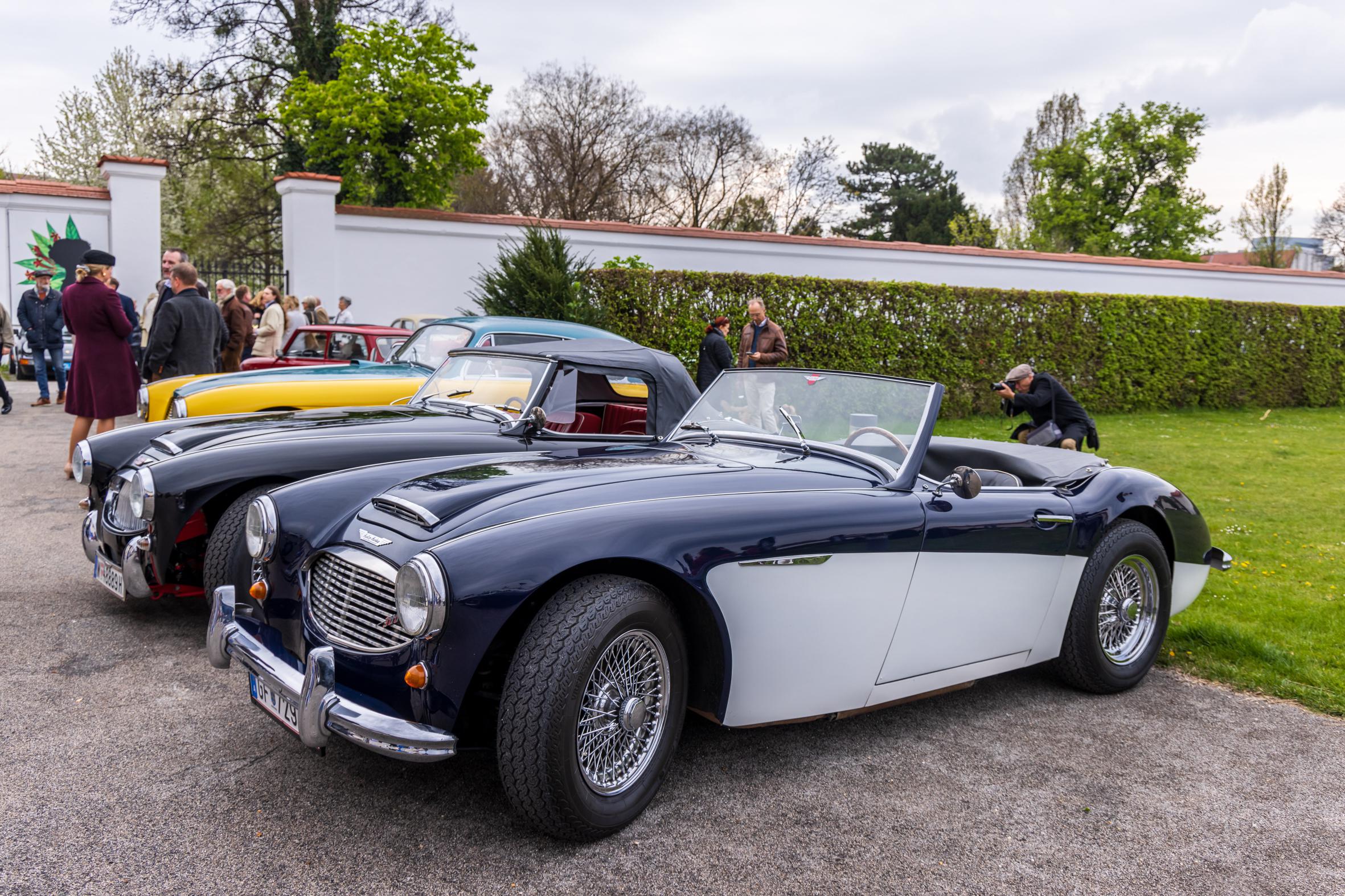 Austin Healey 3000, Credit: PhotoArt Design / Sandra Oblak